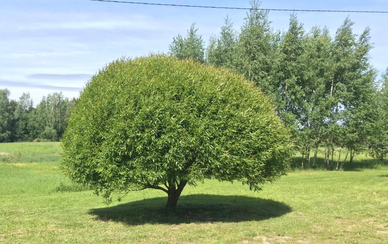 Melderi Villa Rezekne Bagian luar foto