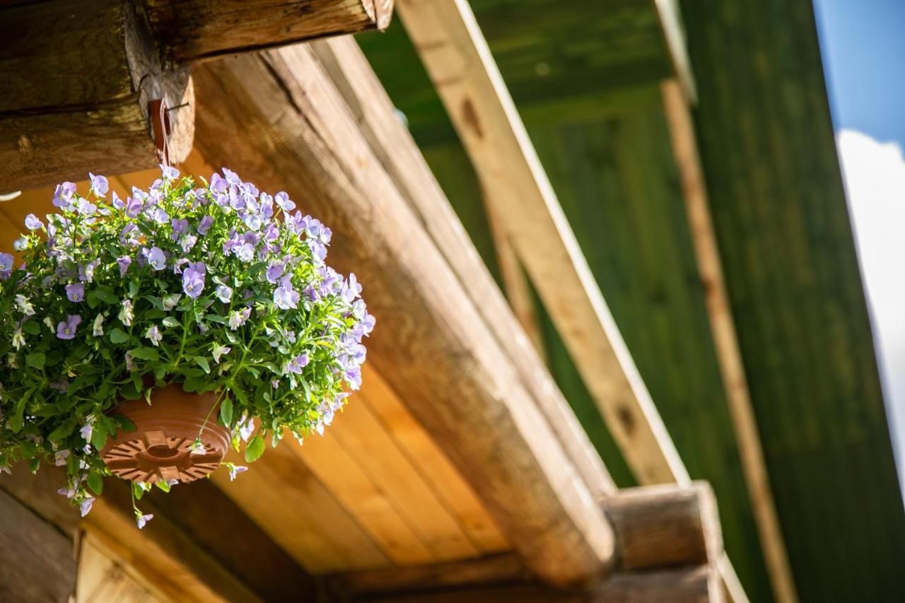 Melderi Villa Rezekne Bagian luar foto